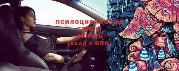 сатива Арсеньев