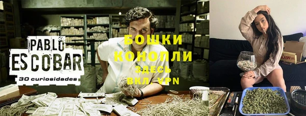 сатива Арсеньев
