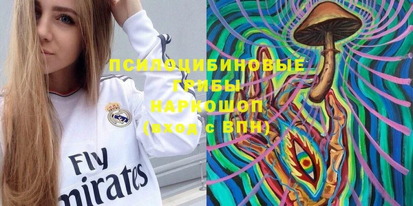 тгк Аркадак