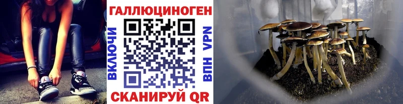 blacksprut сайт  Пудож  Галлюциногенные грибы Psilocybine cubensis 
