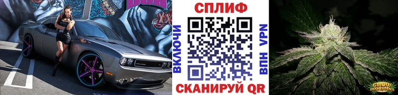 МАРИХУАНА планчик  Пудож 